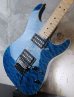 画像5: Tom Anderson Drop Top Trans Blue with Binding