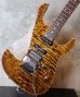 画像12: Tom Anderson Angel Tiger Eye with Binding 