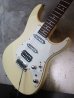 画像5: Tom Anderson Classic Olympic White