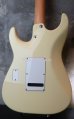 画像2: Tom Anderson Classic Olympic White