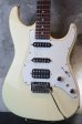 画像1: Tom Anderson Classic Olympic White (1)