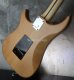 画像10: Vigier Excalibur Shawn Lane Signature Natural 