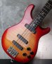 画像11: Paul Reed Smith 4 String Curly Bass 1988 / Cherry Sunburst