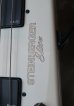 画像8: Steinberger XL-2TA '91 Elite / White 