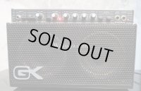 Gallien-Krueger 250ML 