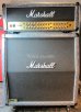 画像1: Marshall JVM410H Amp Head & Cabinet  Snake Skin (1)