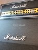 画像8: Marshall JVM410H Amp Head & Cabinet  Snake Skin