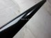 画像7: Steinberger XL-2 '84 ☆期間限定で,別売のSteinberger pop-out Leg Rest　/ Vr.2が付属☆