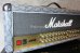 画像3: Marshall JVM410H Amp Head & Cabinet  Snake Skin