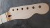 画像3: Warmoth Maple Neck 22F / Vintage Moderen Telecaster®️