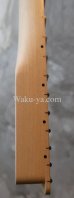 画像10: Warmoth Maple Neck 22F / Vintage Moderen Telecaster®️