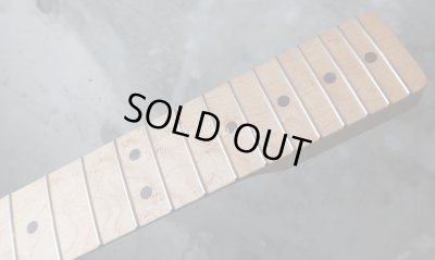 画像9: MusiKraft /  Franky Neck Custom Build / Birdseye Maple 　(2)