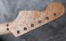 画像4: MusiKraft /  Franky Neck Custom Build / Birdseye Maple 　(2)