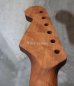 画像5: Warmoth Stratocaster® Mahogany Neck  22 Frets  Ebony / Right Handed 