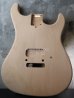 画像1: MusiKraft / Build a Kramer Pacer / Alder (1)