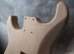 画像3: MusiKraft / Build a Kramer Pacer / Alder