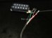 画像4: Seymour Duncan SH-AH1b / Allan Holdsworth Model 