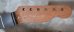 画像3: Warmoth Telecaster® Mahogany Neck  21 Frets Ebony / Right Handed 