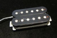 Seymour Duncan SH-AH1b / Allan Holdsworth Model