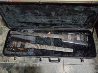 Steinberger Vintage  2 in 1 / Hard Case 