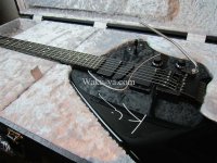 Steinberger  Drop-in Hard Case / オリジナルCASE作成