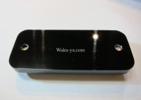 Steinberger Battery Cover for GL