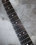 画像6: Steinberger GL-3T /  GR 