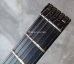 画像2: Steinberger GL-3T /  GR 