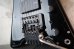 画像10: Steinberger GP-2T 1st