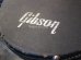 画像10: Gibson USA Les Paul Junior / 1957