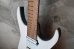 画像6: Skervesen Velociraptor 7-String / Trans White Top / Trans Blue Back