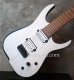 画像10: Skervesen Velociraptor 7-String / Trans White Top / Trans Blue Back