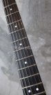 画像3: Steinberger GP-2S '84 / Red