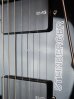 画像8: Steinberger GP-2S  / Black  '84