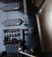 画像2: Steinberger GL-3T