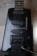 画像9: Steinberger GL-3T