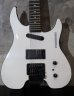画像2: Steinberger GM-5T / White