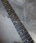 画像4: Steinberger GP-2S  ’85 / White 