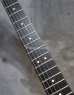 画像4: Steinberger GL-3T