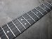 画像3: Steinberger GL-2T 1st '85 / GR