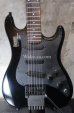 画像1: Steinberger license /　HOHNER H-70  (1)