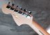 画像7: Fender USA Yngwie Malmsteen Signature Stratocaster / Rosewood   　    (7)