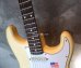 画像10: Fender USA Yngwie Malmsteen Signature Stratocaster / Rosewood   　    (10)