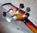 画像7: RS Guitarworks Thunderbird Bass Prototype / Sunburst　 (7)