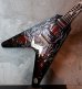画像13: Dean USA Custom Shop Schenker Bros V Ltd Handsigned by Rudlf & Michael Schenker (13)