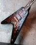 画像5: Dean USA Custom Shop Schenker Bros V Ltd Handsigned by Rudlf & Michael Schenker (5)