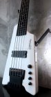 画像12: Steinberger Synapse XS-15 FPA / FL 5Strings / White