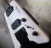 画像8: Steinberger Synapse SS-2F /  White