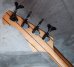 画像7: B.C. Rich USA Innovator Fretless Bass '95