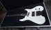 画像4: Steinberger Original Tour Case  / for GM (4)